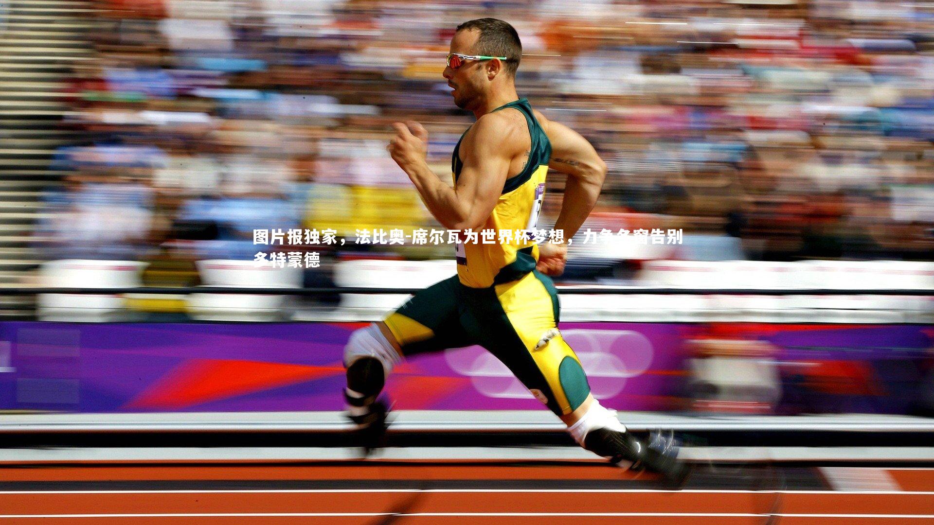 mk体育app官网-图片报独家，法比奥-席尔瓦为世界杯梦想，力争冬窗告别多特蒙德